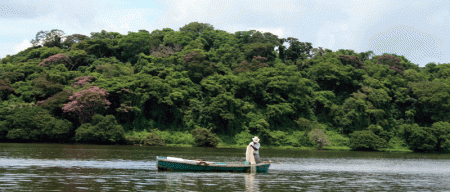 La Isla de los monos
