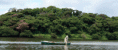 /album/fotogaleria/algas-catemaco-1-gif/